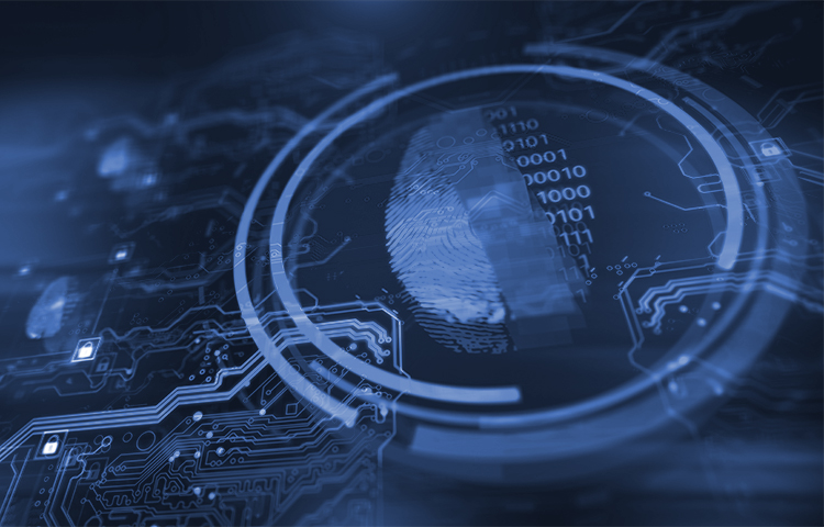 A graphic of a biometric scanned finger print