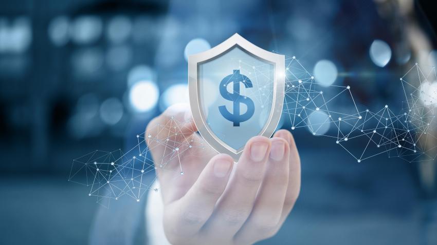 A shield with a dollar sign inside. A hand is holding it.